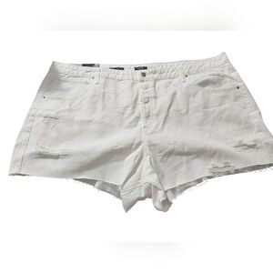 Wild Fable sz 22 super high-rise cutoff shorts